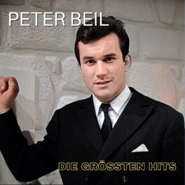 Album cover of Die Grössten Hits