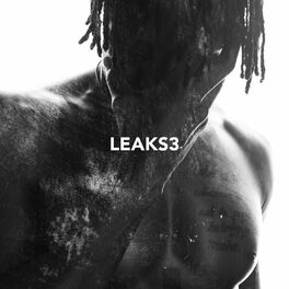 Album cover of Leaks3