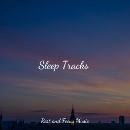 Album cover of Sleep Tracks