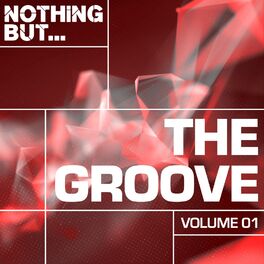 Album cover of Nothing But... The Groove, Vol. 1