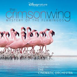 Album cover of The Crimson Wing: Mystery of the Flamingos (Original Soundtrack)
