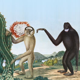 Album cover of Primates