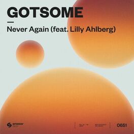 Album cover of Never Again (feat. Lilly Ahlberg)