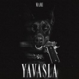 Album cover of YAVAŞLA