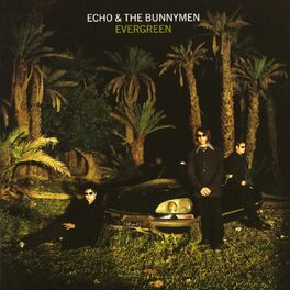 Album cover of Evergreen (Expanded)
