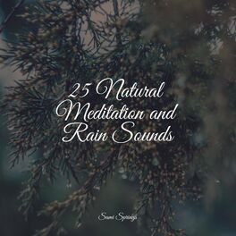 Album cover of 25 Natural Meditation and Rain Sounds