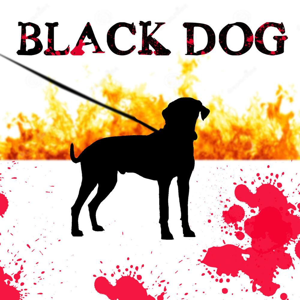 Черная собака песня