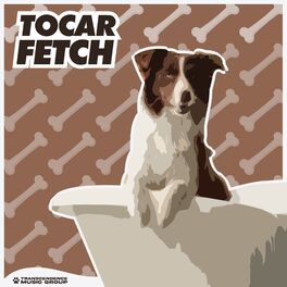 Album cover of Tocar Fetch
