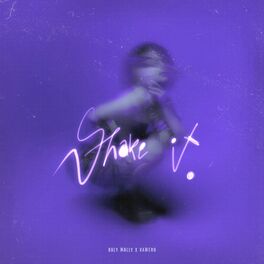 Album cover of Shake It