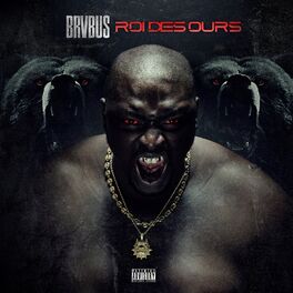 Album cover of ROI DES OURS