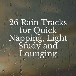 Album cover of 26 Rain Tracks for Quick Napping, Light Study and Lounging