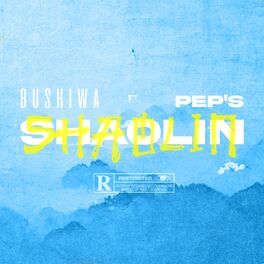 Album cover of Shaolin