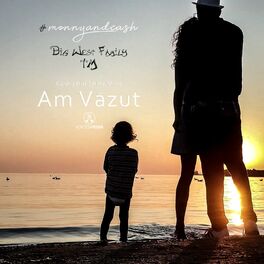 Album cover of Am Vazut