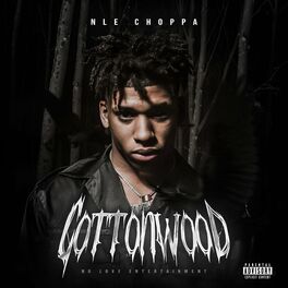 Album cover of Cottonwood