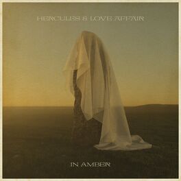 Album cover of In Amber