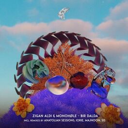 Album cover of Bir Dalda