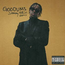 Album cover of Goodums (Sammy Virji Remix)