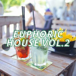 Album cover of Euphoric House Vol.2