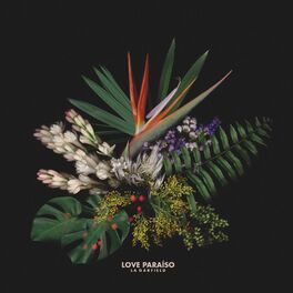 Album cover of Love Paraíso