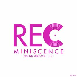 Album cover of Spring Vibes, Vol. 1 LP