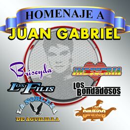 Album cover of Homenaje A Juan Gabriel