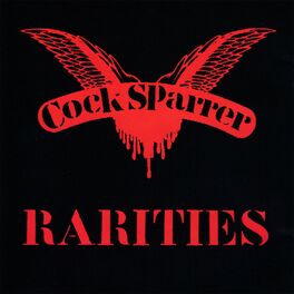 Album cover of Rarities