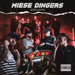 Album cover of Miese Dingers