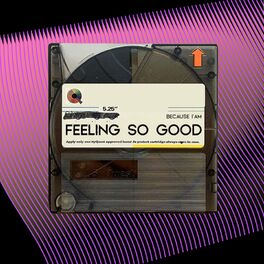 Album cover of Feeling so Good