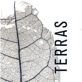 Album cover of Terras