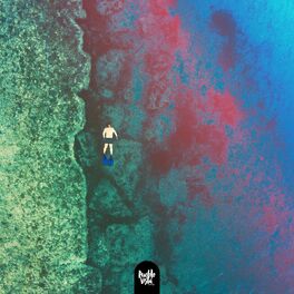 Album cover of flipper