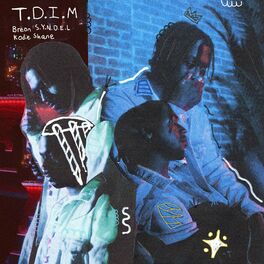 Album cover of T.D.I.M