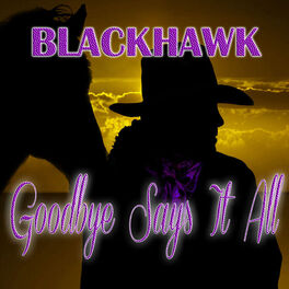 Album cover of Goodbye Says It All
