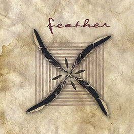 Album cover of Feather