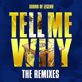 Album cover of Tell Me Why (The Remixes)