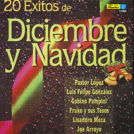 Album cover of 20 Éxitos de Diciembre y Navidad