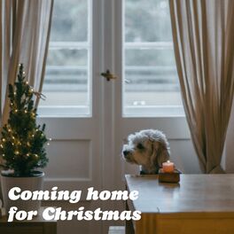 Album cover of Coming Home For Christmas