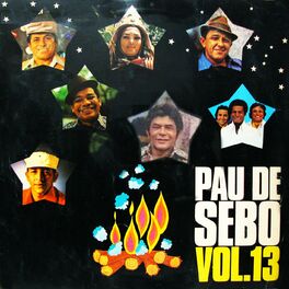 Album cover of Pau de Sebo, Vol. 13
