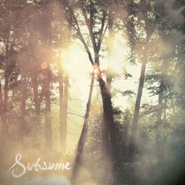 Album cover of Subsume