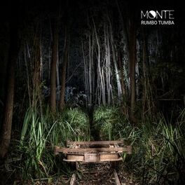 Album cover of Monte