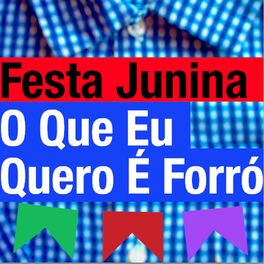 Album cover of Festa Junina - o Que Eu Quero É Forró!
