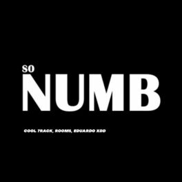 Album cover of So Numb (Remix)