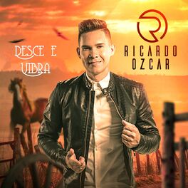 Album cover of Desce e Vibra