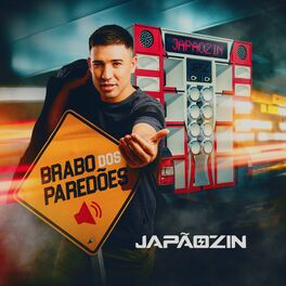 Album cover of Brabo dos Paredões