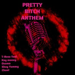 Album cover of PRETTY BITCH ANTHEM (feat. Kay Money, Osama, Shay Yummy & Chant)