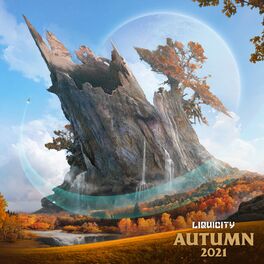 Album cover of Liquicity Autumn 2021
