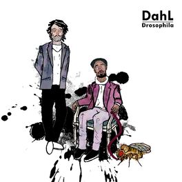Album cover of Drosophila