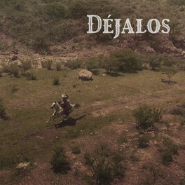 Album cover of Déjalos