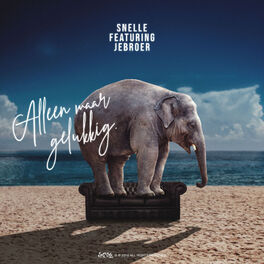 Album cover of Alleen Maar Gelukkig
