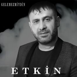 Album cover of Gelemezmiydin