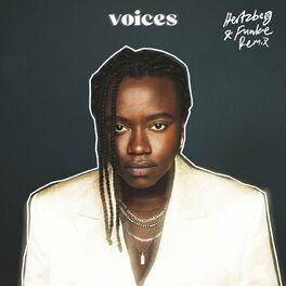 Album cover of Voices (Hertzberg & Funke remix)